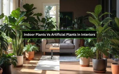 Indoor Plants Vs Artificial Plants in Interiors: Ultimate Showdown