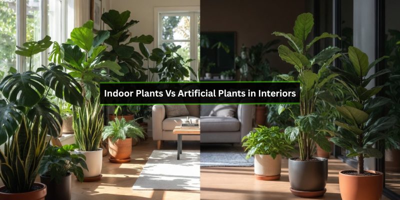 Indoor Plants Vs Artificial Plants in Interiors: Ultimate Showdown