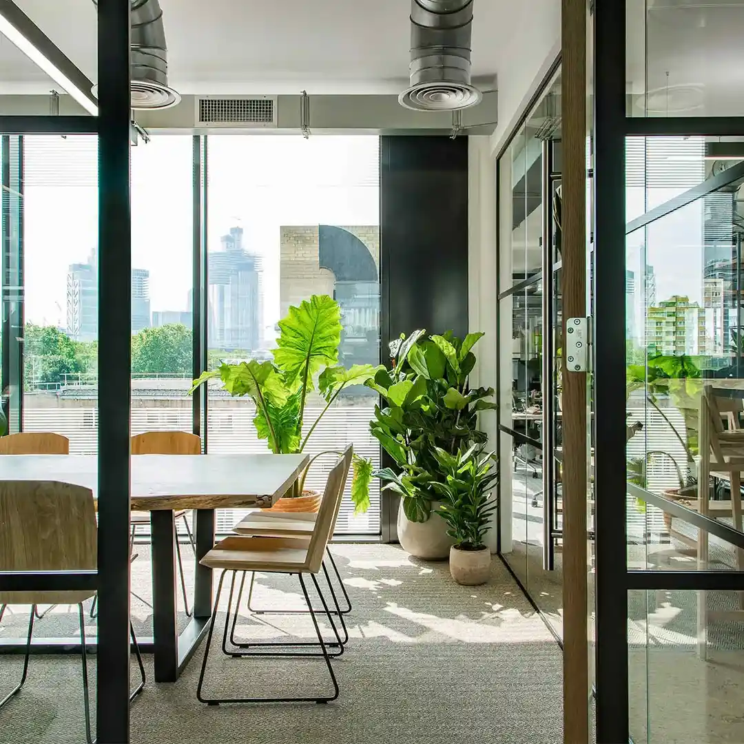 Ideal Spaces For Indoor Plants Ideal Spaces For Indoor Plants