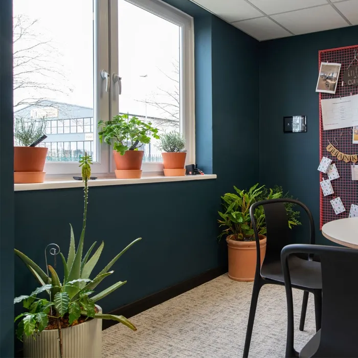 Sustainability Of Live Plants Sustainability Of Live Plants